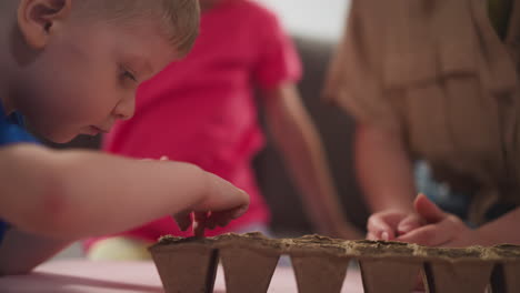 little child concentratedly takes seeds from palm