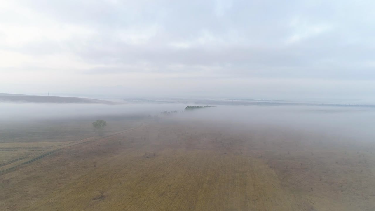 Aerial View of a Foggy Field