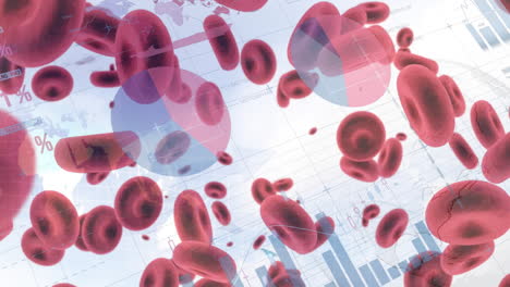 red blood cells floating over medical data and world map animation