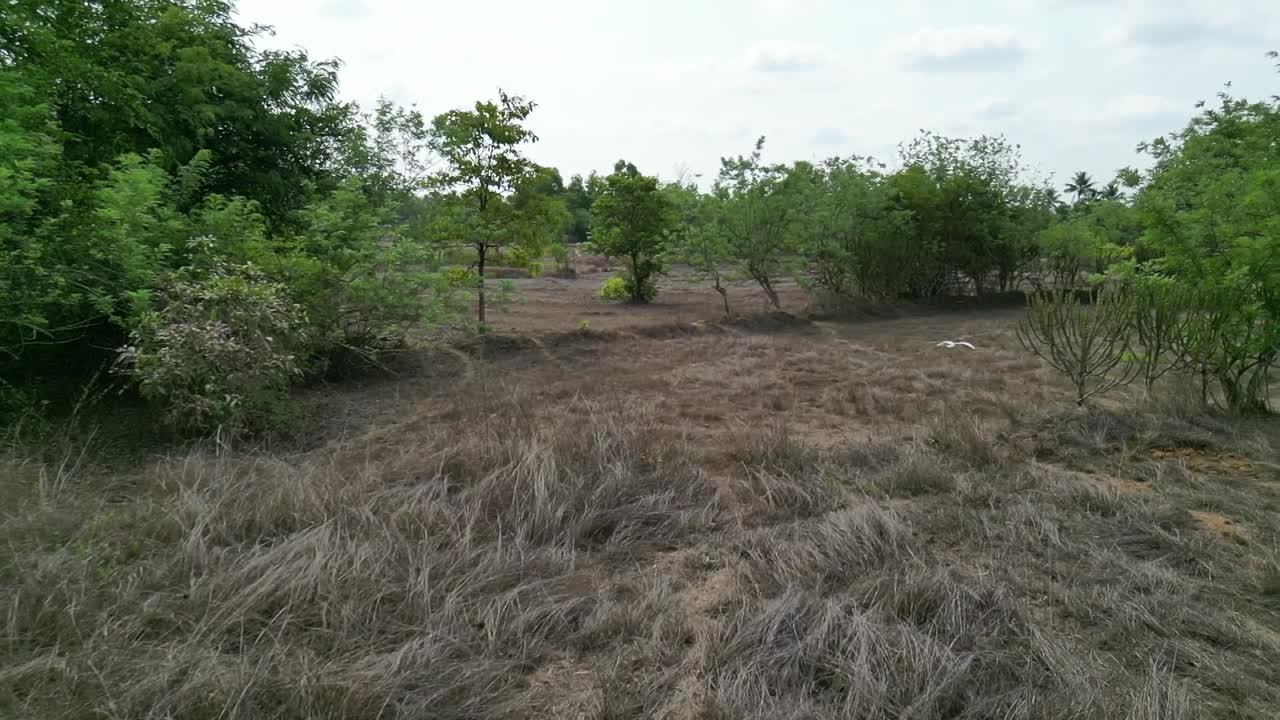 avión no tripulado en barbecho volando ave cigüeña en tierras de cultivo vacías vista de arriba en verano puede tierra seca