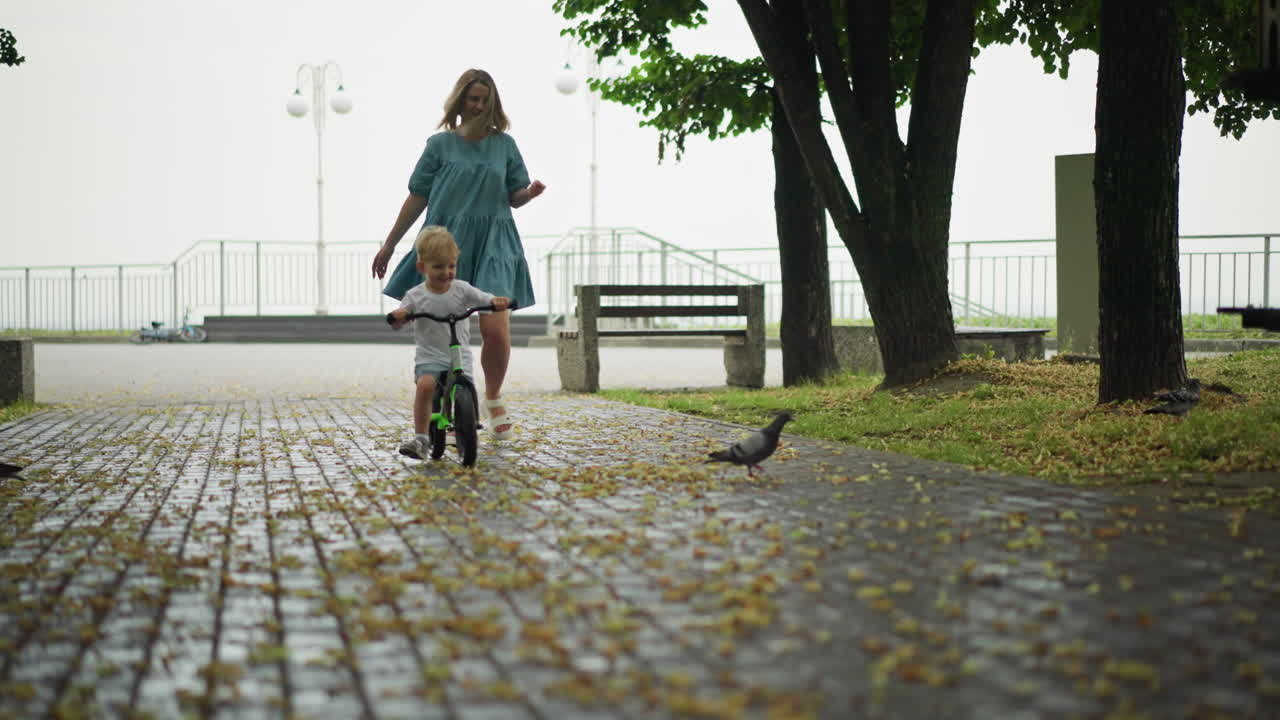 한 어머니가 어린 아이를 도와 자전거를 들고 잎으로 인 길을 걸어가는 동안, 세 마리의 비둘기가 산책로를 고 있는 것을 볼 수 있다.