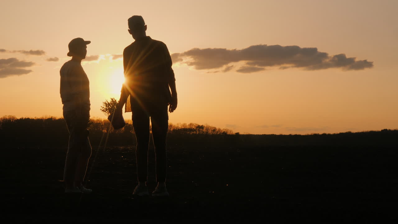 pareja plantando un árbol al atardecer