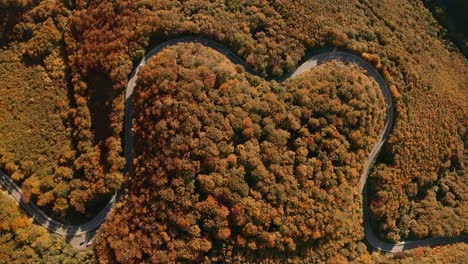 Imágenes-Aéreas-De-Drones-Con-Vista-De-Arriba-Hacia-Abajo-De-Autos-Conduciendo-En-Un-Camino-En-Forma-De-Corazón-Que-Serpentea-A-Través-Del-Medio-De-Un-Bosque-De-Colores-Otoñales