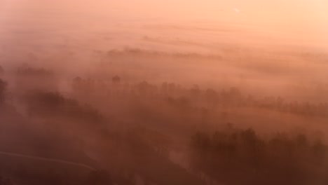 misty sunrise over forest