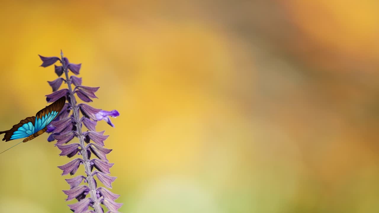 A vibrant blue butterfly flutters gracefully around a purple flower against a warm, blurred background, creating a serene and lively scene