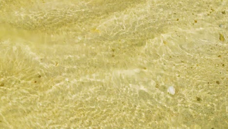 soft waves on the sandy beach in willemstad, curacao