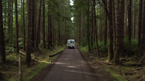 rv motorhome through forest between alder trees, aerial follow shot, canada