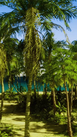 lush tropical forest near a serene beach at midday under clear skies