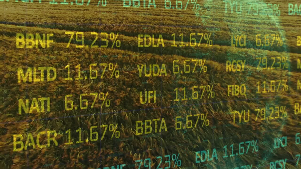 Animation der Finanzdatenverarbeitung über einem Agrarfeld