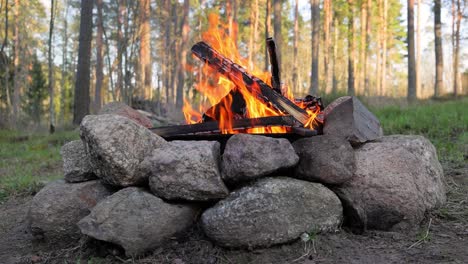 Fogata-Ardiente-En-El-Bosque