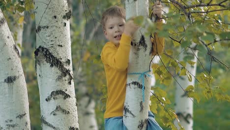 El-Niño-Está-Tratando-De-Bajarse-Del-árbol-De-Abedul.