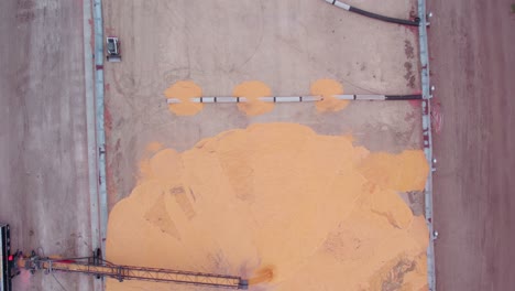 top down industrial grain storage site with a conveyor belt unloading from semi trucks into a large pile