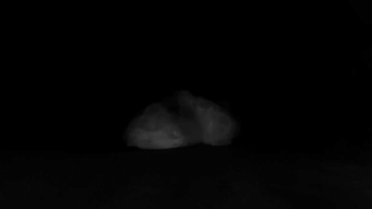 검은 바탕 위에 날아다니는  증기 연기, 스모그 증발, 느린 동작
