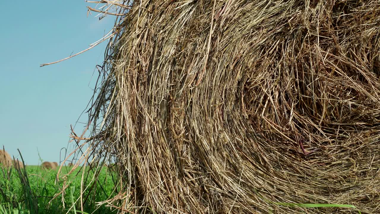 concepto de agricultura. balas de heno en un prado. campo rural en verano con balas de heno. vista de bajo ángulo