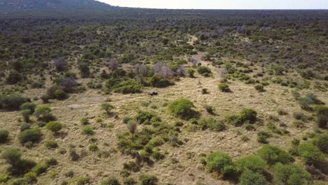 a lend rover going through the savannah, people going to safari