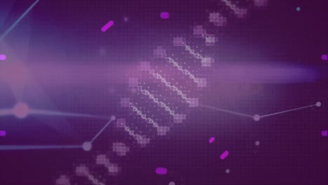 Animation-of-dna-strand-spinning-with-scope-and-network-of-connections