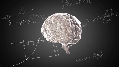 animation of spinning brain over mathematical equations