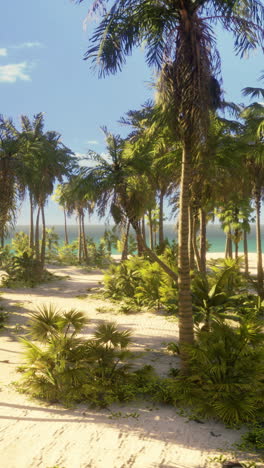 tropical beach paradise: palm trees, ocean, and white sand