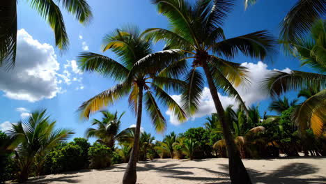 el paraíso de las playas tropicales