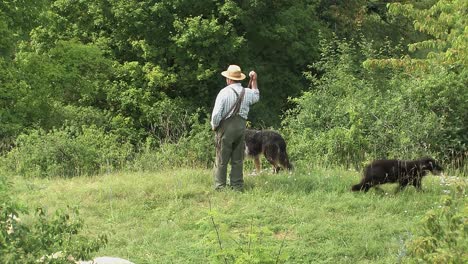 Shepherd-with-two-dogs-near-Eichstaett-in-Altmuehltal,-Bavaria,-Germany