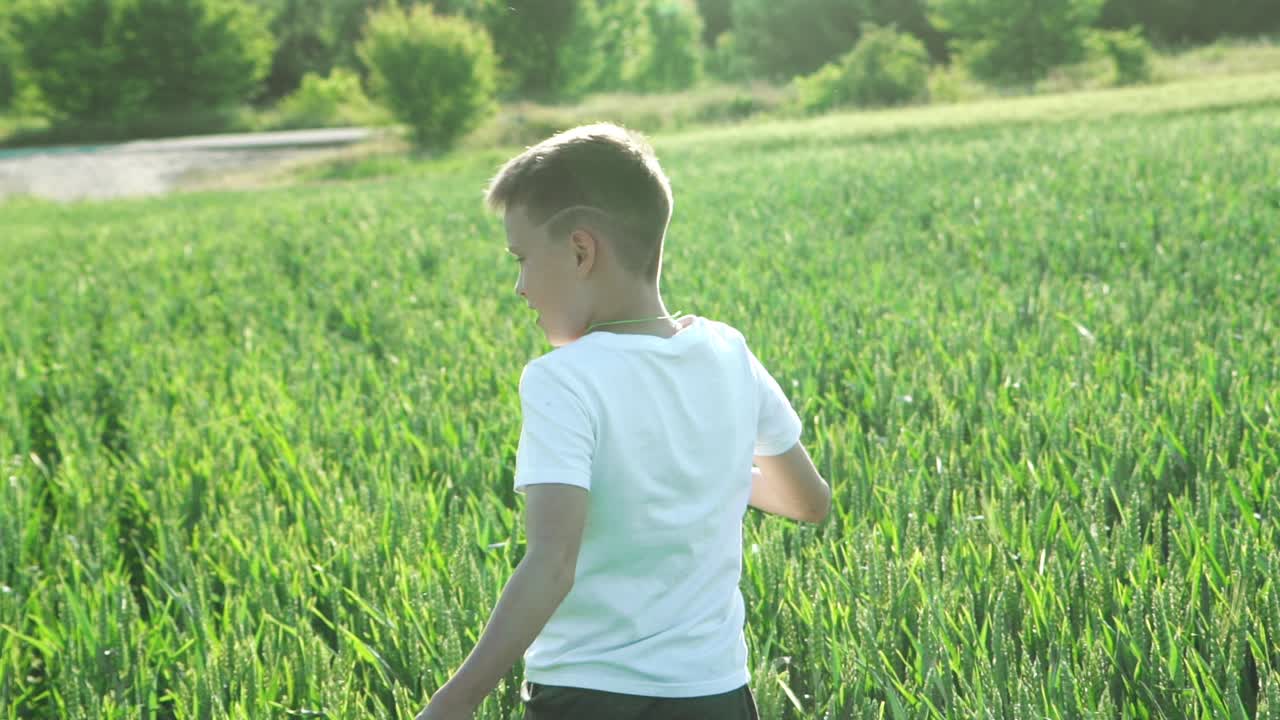 Happy boy running in green wheat field. Slow motion