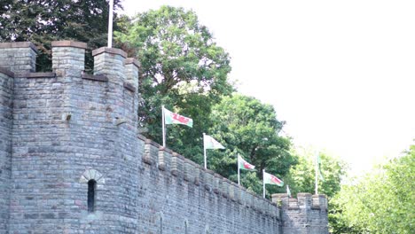 cardiff castle with waving welsh flags