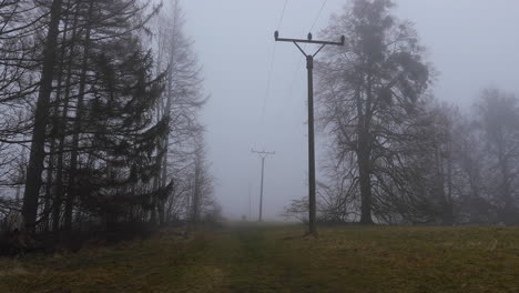 a forest road in the fog through which power poles pass