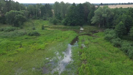 "Drone-soars-over-Europe's-dawn-lit-lake,-unveiling-tranquil-lagoon,-lush-forest,-and-serene-ponds