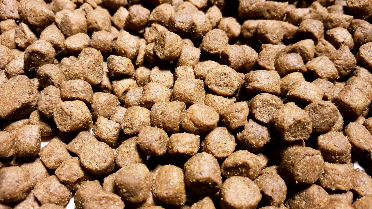 건조한 개 또는 고양이 음식은 테이블에 회전합니다.