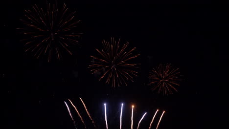 Fuegos-Artificiales-De-Coco-Sobre-Fondo-De-Cielo-Negro