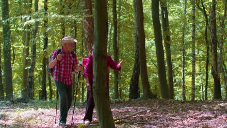 Senior-grandparents-couple-having-conversation,-training-Nordic-walking-with-trekking-poles-in-wood