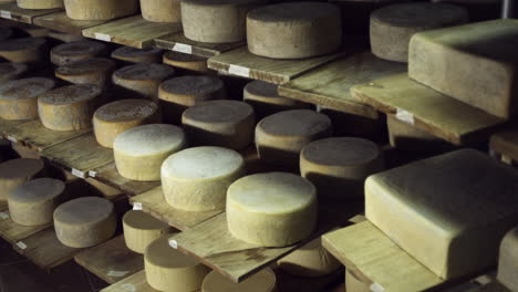 medium shot of cheeses in winery