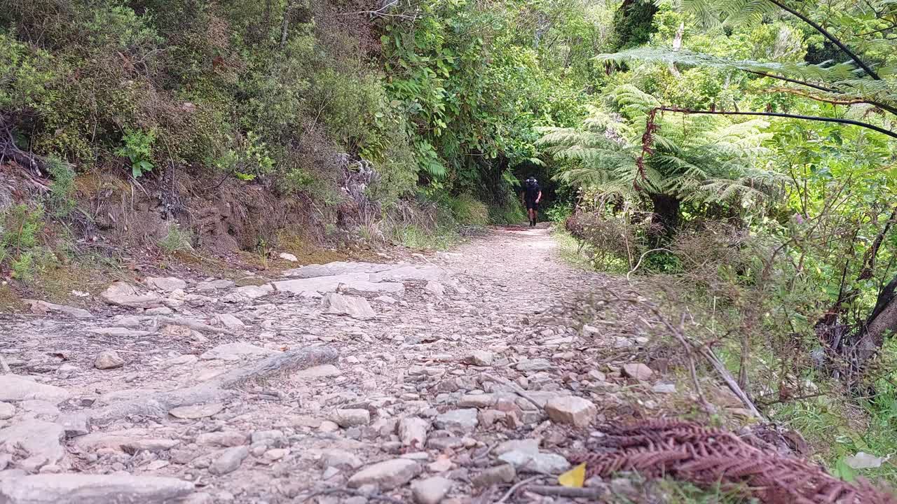 un excursionista masculino caminando hacia y pasando la cámara en la pista de la reina charlotte en la isla sur de nueva zelanda