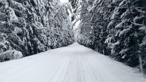 4K.-Flight-above-winter-forest-on-the-north,-aerial-top-view.