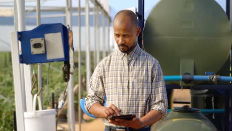 man using digital tablet in blueberry farm 4k