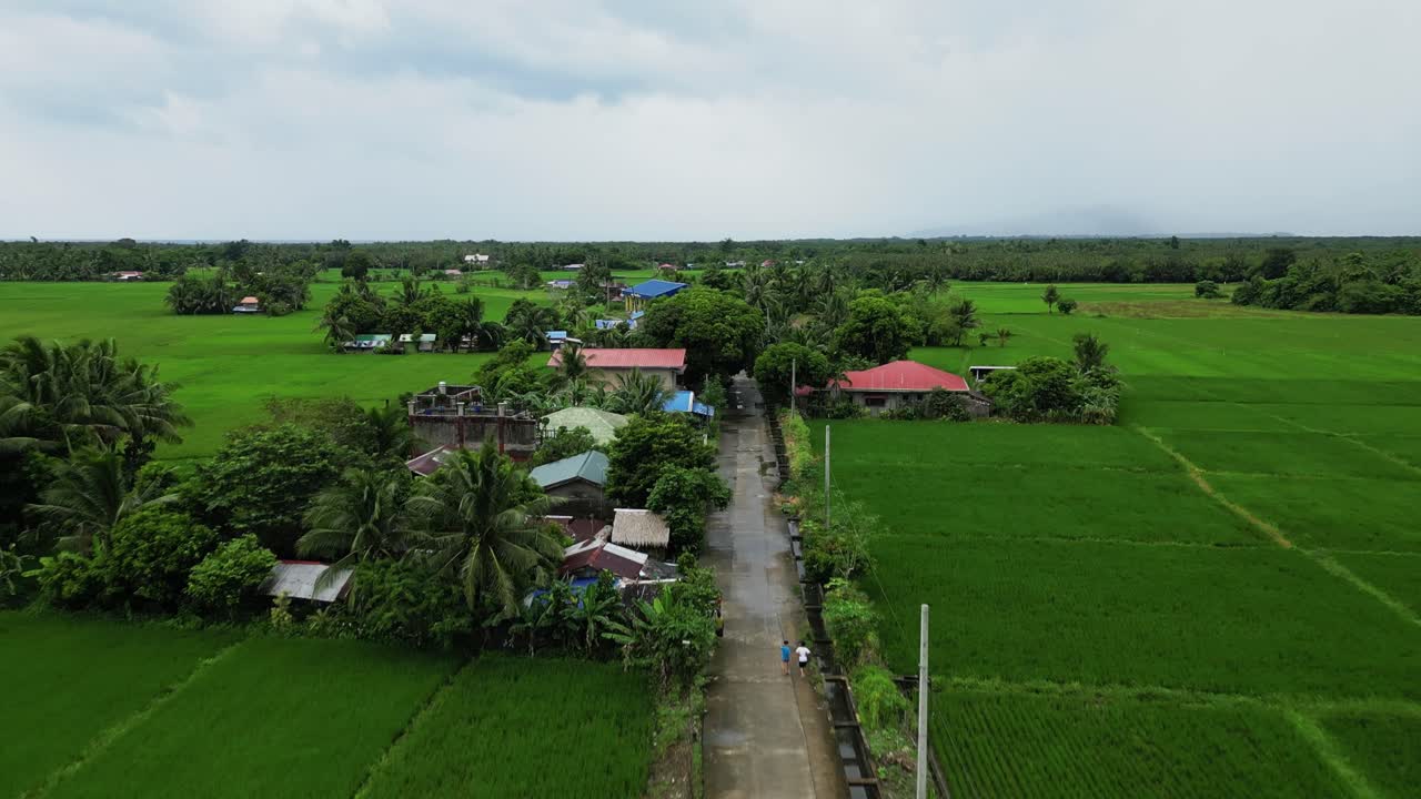 Rekaman udara sinematik Lual, Infanta, menampilkan jalan indah yang panjang dikelilingi oleh hijaunya pepohonan lebat, perbukitan, dan lanskap pedesaan yang tenang di Quezon.