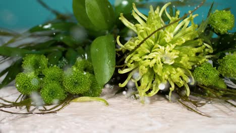 escena en cámara lenta de una flor verde que cae suavemente, haciendo que la planta se estrelle contra la superficie y libere gotas de agua, ilustrando el concepto de belleza natural