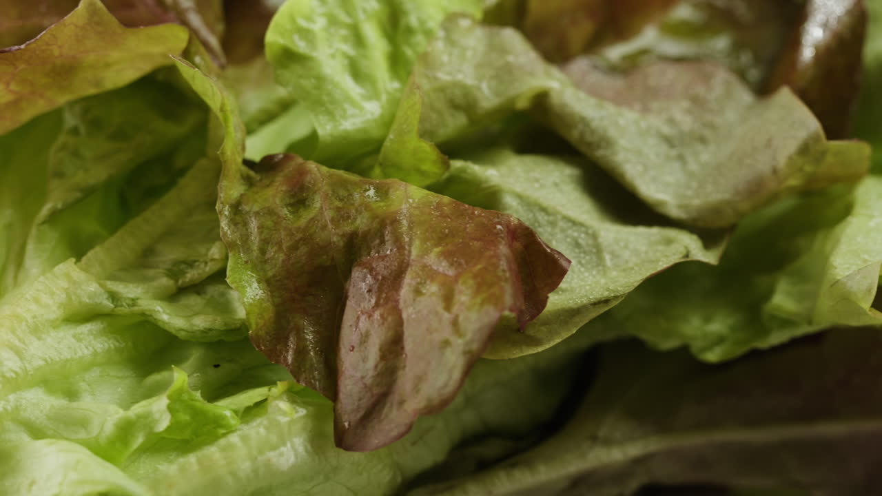 Fresh salad green lettuce leaves on white background close up macro, vegan food.