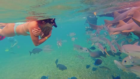 a female snorkeller swims amongst a variety of tropical fish in the clear waters off hol chan marine reserve, san pedro, belize