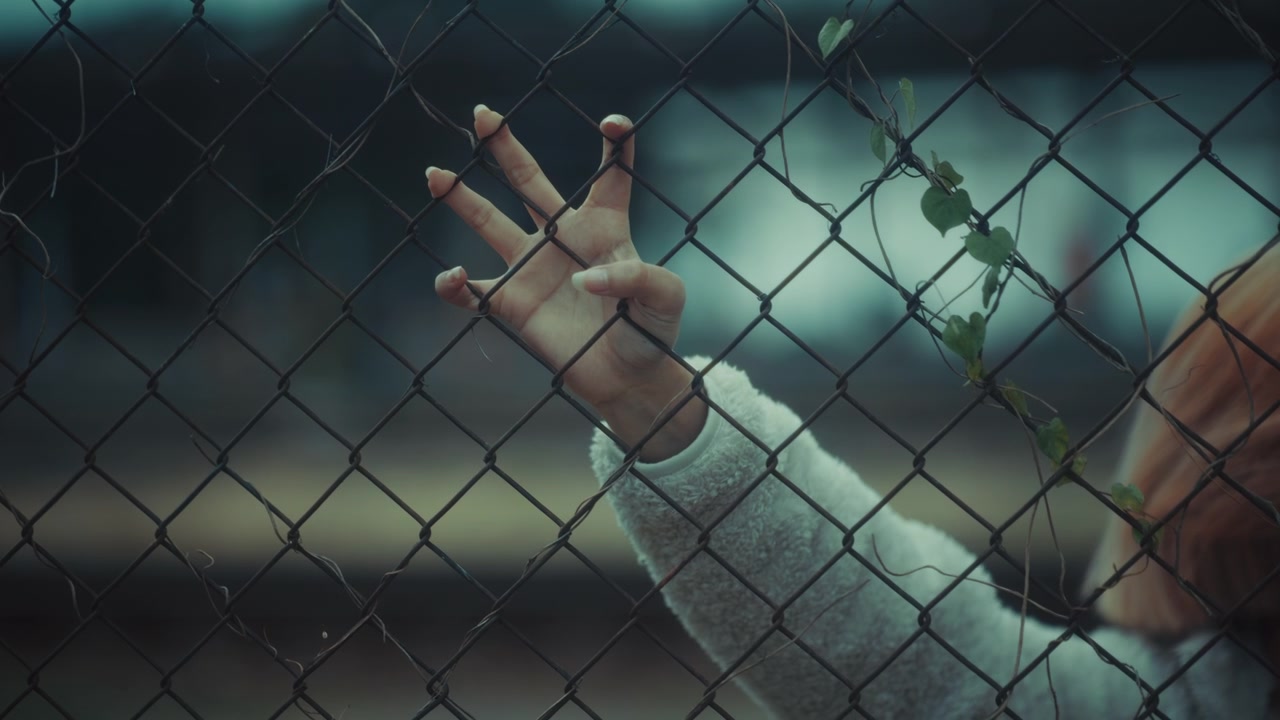 Close-up of a Hand Reaching Through a Chain Link Fence