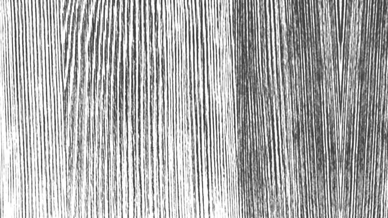 Textura de madera del grano