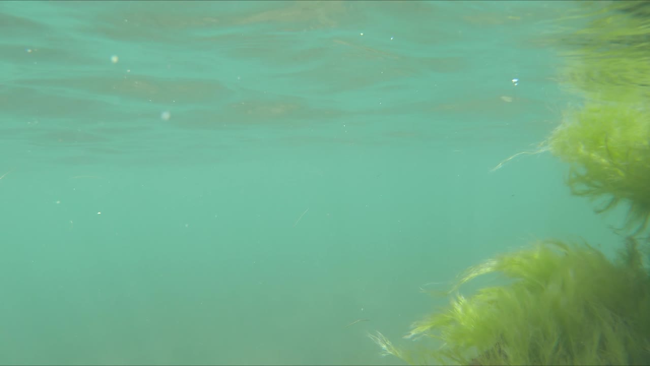 티티카카 호수 에서 물 에 잠기는 관점