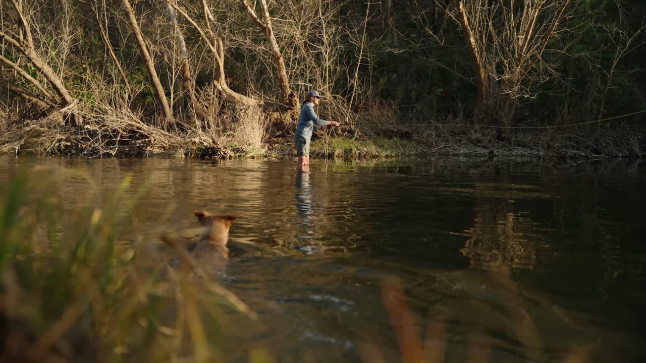 Cane marrone salta in acqua e nuota verso un pescatore a mosca in piedi nel ruscello che lancia la sua canna, al rallentatore.