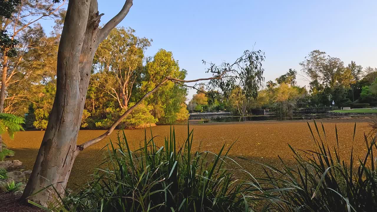 образовательный знак и пышный садовый ландшафт