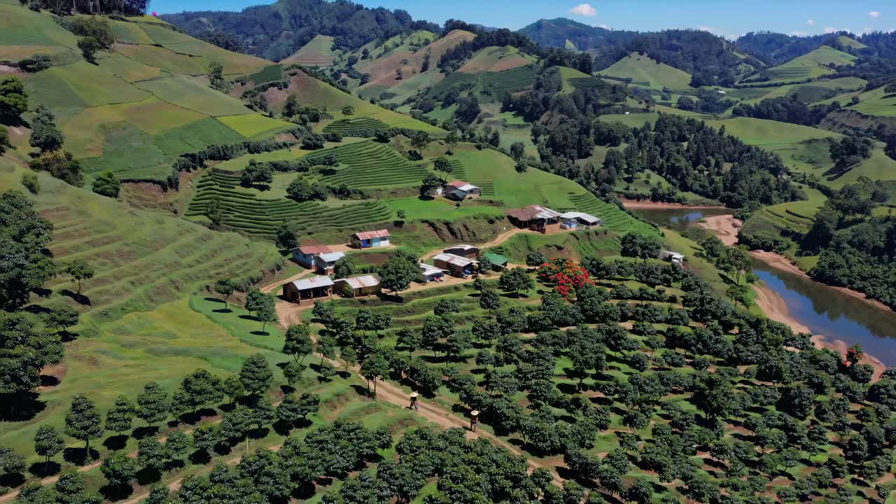 Aerial video captures lush, terraced farmland with scattered buildings, showcasing vibrant greenery