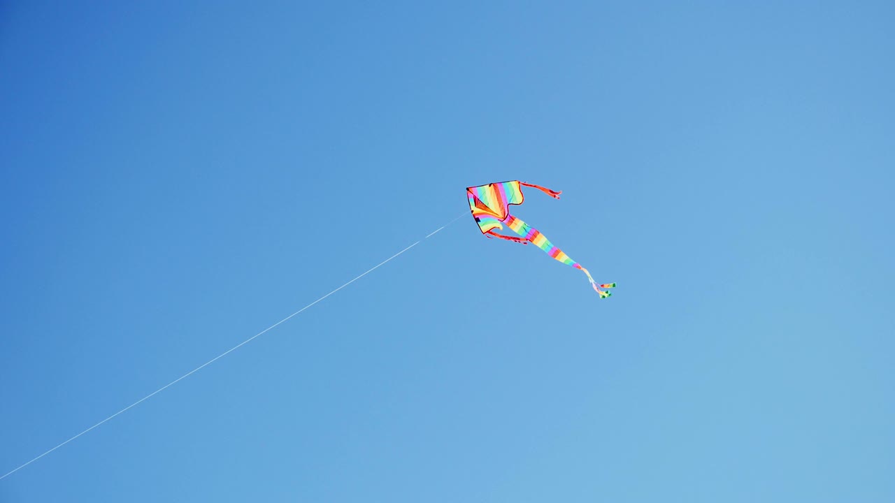 날개는 은 파란 하늘에서 높이 떠다닙니다.