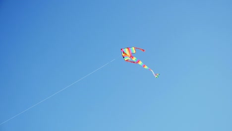 la cometa flota alto en el cielo azul claro