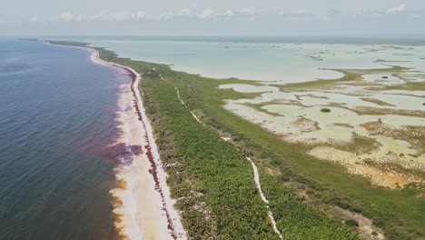 above view of sian kaʼan biosphere reserve in quintana roo, mexico. aerial drone shot