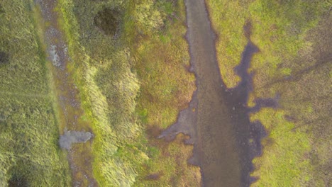 Antena-Mirando-Hacia-Abajo-Volando-Sobre-Pantanos-En-Praderas-De-Sal-En-La-Reserva-Natural-Cerca-De-La-Isla-De-Texel-Wadden