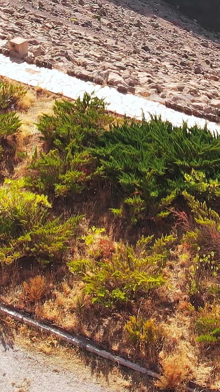 Esplora il paesaggio di Granada, Spagna, con vegetazione e terreno roccioso